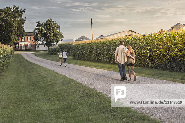 Caucasian family walking on dirt path by corn field