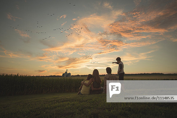 Caucasian family admiring corn fields at sunset