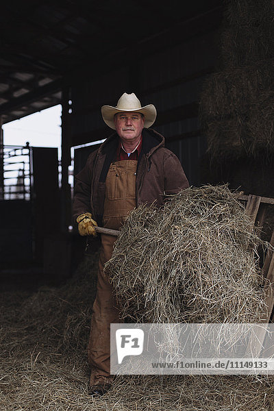 Caucasian farmer shoveling hay in barn