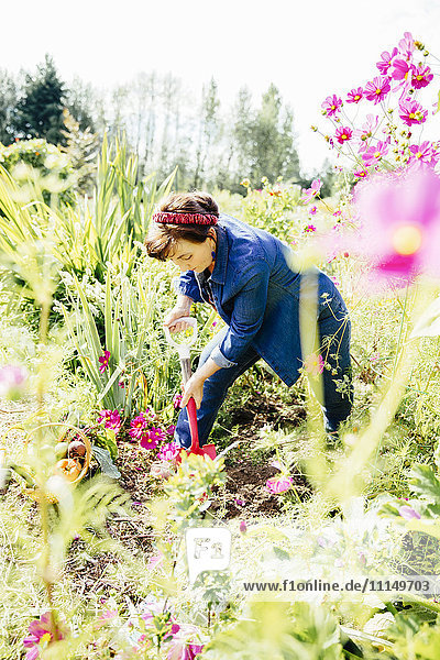 Kaukasische Frau gräbt im Garten