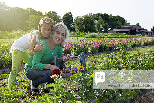 Kaukasische Großmutter und Enkelin pflücken Blumen auf dem Bauernhof
