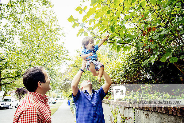 Father lifting baby son to tree branches