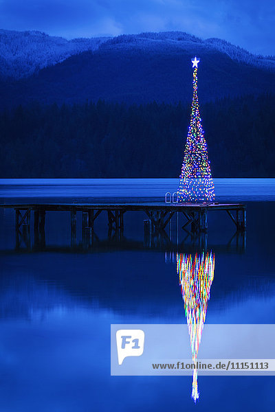 Weihnachtsbaum spiegelt sich im See