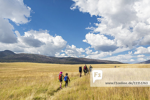 Kaukasische Kinder  die auf einem grasbewachsenen Feld in einer abgelegenen Landschaft spazieren gehen