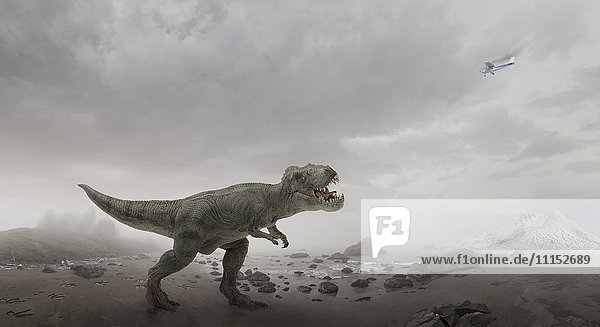 Airplane flying over dinosaur in rocky field