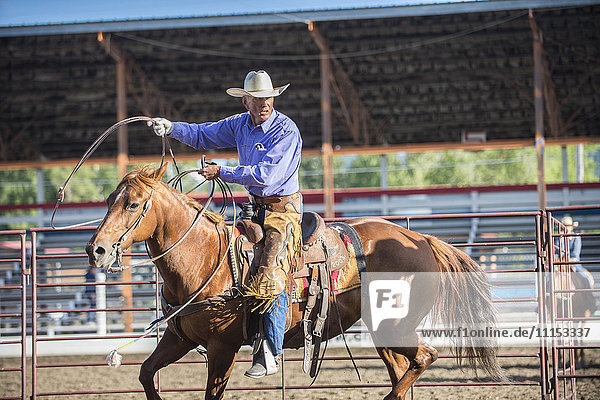 Älterer kaukasischer Cowboy  der beim Rodeo sein Lasso wirft