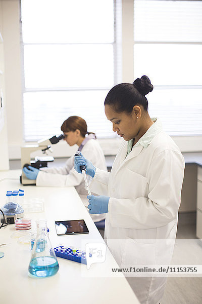 Mixed race scientists working in laboratory
