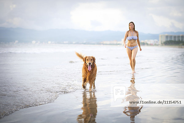 Mexiko  Nayarit  Junge Frau  die mit ihrem Golden Retriever Hund am Strand spazieren geht.