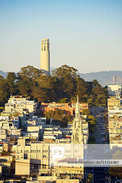 USA  Kalifornien  San Francisco  Blick vom Russian Hill auf den Telegraph Hill mit Coit Tower