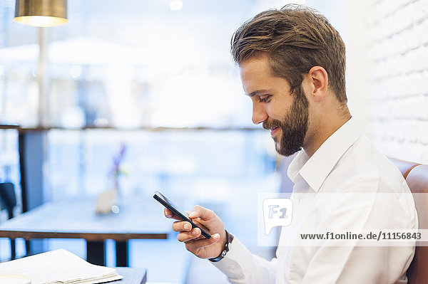 Smiling businessman looking at cell phone in a cafe