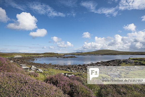 Großbritannien Schottland Äußere Hebriden Norduist Marschlandschaft mit Heide