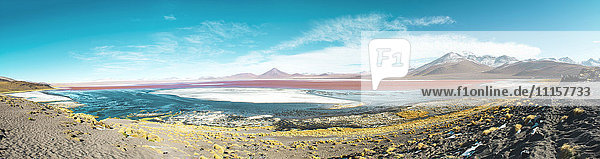 Bolivien  Eduardo Avaroa Andean Fauna National Reserve  Bolivien. Laguna Colorada
