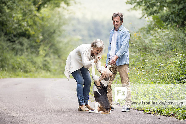 Senior couple with dog in nature