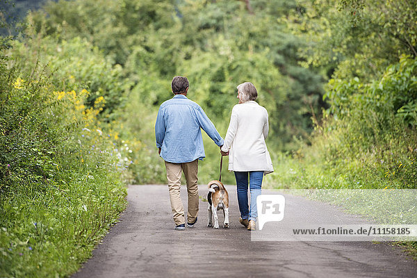 Back view of senior couple on a walk with dog in nature