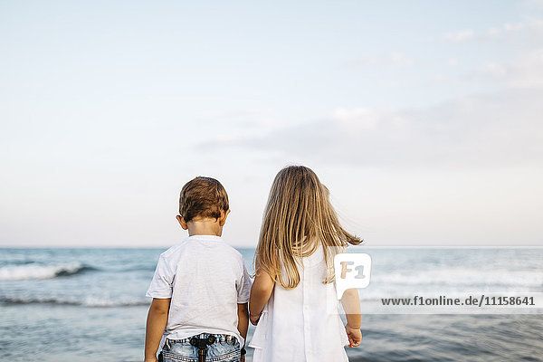 Back view of little boy and girl standing side by side in front of the sea