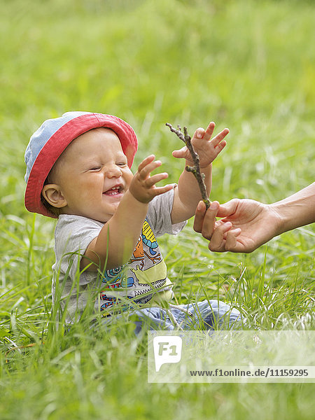 Glücklicher kleiner Junge  der auf einer Wiese sitzt und Zweig aus der Hand seiner Mutter nimmt.