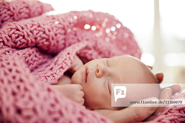 Hände halten den Kopf eines Neugeborenen in einer rosa Wolldecke.