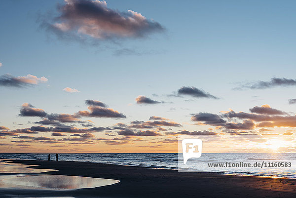Dänemark  Nordjütland  ruhiger Strand bei Sonnenuntergang