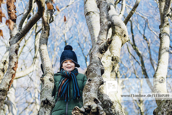 Junge klettert auf einen Baum in Winterkleidung