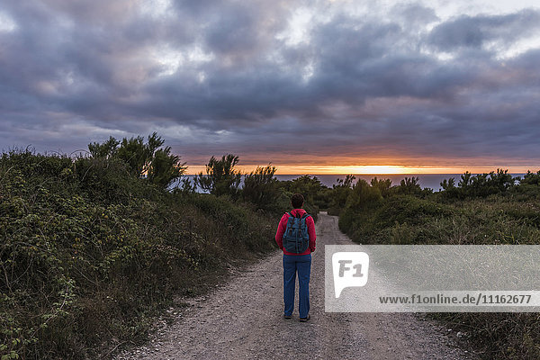 Frankreich  Bretagne  Finistere  Halbinsel Crozon  Frau auf der Straße stehend  Blick auf Sonnenuntergang