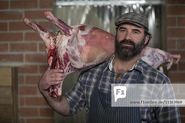 Butcher carrying carcass in butchery