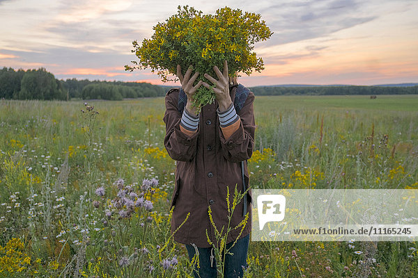 Kaukasische Frau hält Blumenstrauß über Gesicht in Feld bei Sonnenuntergang