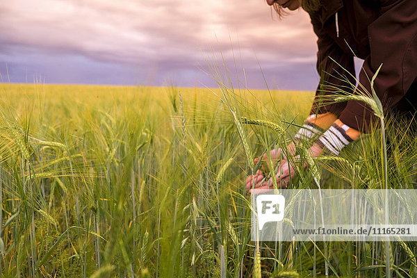 Caucasian woman holding grass in field