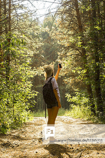 Kaukasische Frau fotografiert Waldbäume mit Handy