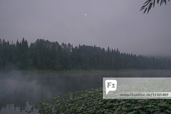 Moon over foggy river