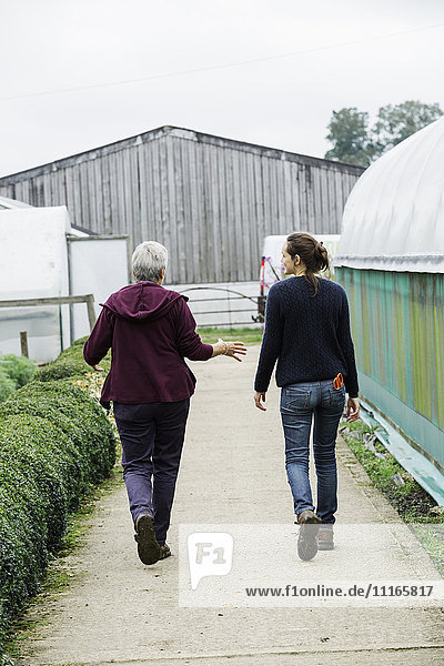 Two people walking down the path in an organic plant nursery.