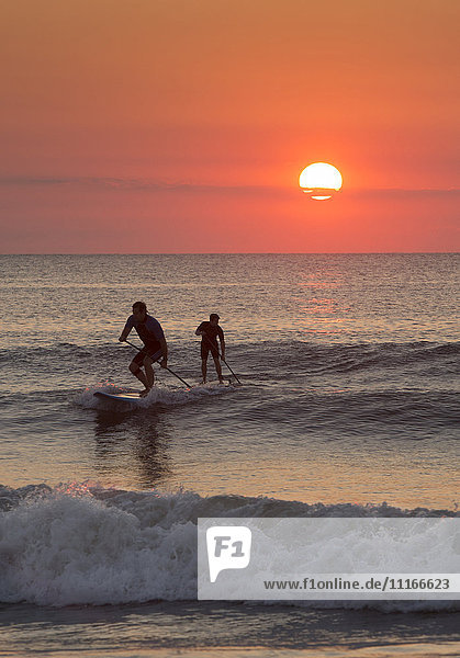 Silhouette of men paddleboarding on ocean waves