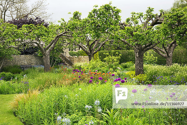 Blick über einen Garten mit Blumenbeeten und Bäumen in Oxfordshire.