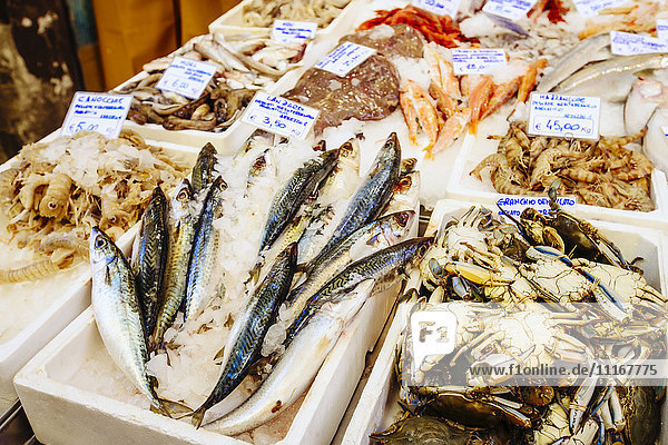 Seafood on ice in market