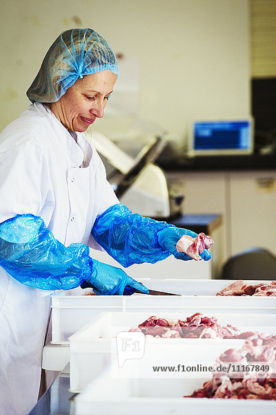 Frau  die in einer Metzgerei arbeitet  vor Plastiktabletts steht  Schutzkleidung und Handschuhe trägt  Fleisch schneidet.