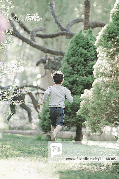 Rückansicht eines Jungen  der über einen Rasen in einem Garten läuft.