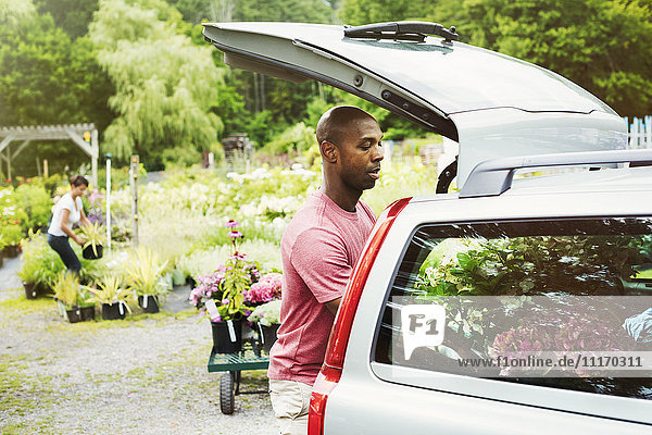 Car parked at a garden centre man loading flowers into the boot.