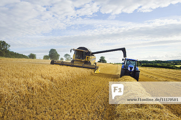 A combine harvester working alongside a tractor on a crop in a field.