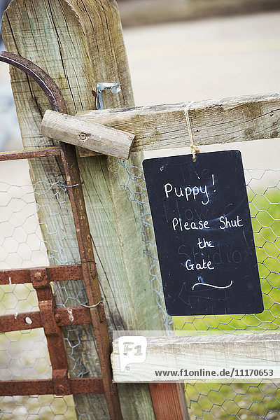 A chalk sign on a garden gate Puppy! Please shut the gate.