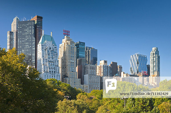 USA  New York  Manhattan  Central Park and Midtown Skyline