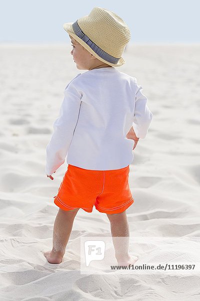 Rear view of a baby boy standing on the beach