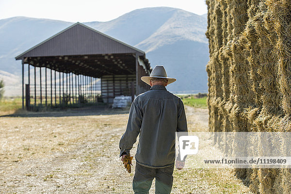 Caucasian farmer walking near stacks of hay