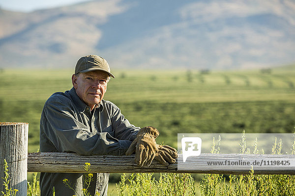 Kaukasischer Bauer mit Handschuhen  der sich an einen Holzzaun lehnt