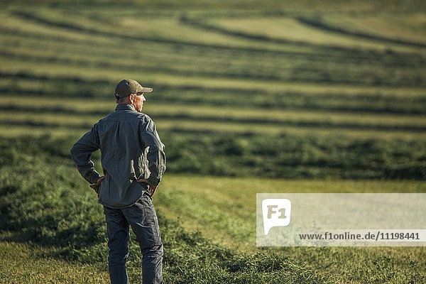 Kaukasischer Bauer steht auf einem Feld und prüft die Ernte