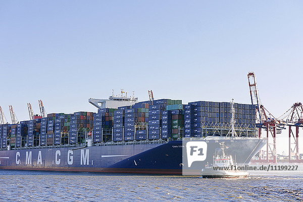 Containerschiff auf der Elbe  Containerterminal Burchardkai  Hamburger Hafen  Hamburg  Deutschland  Europa
