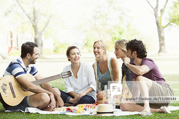 Freunde beim Picknick im Park
