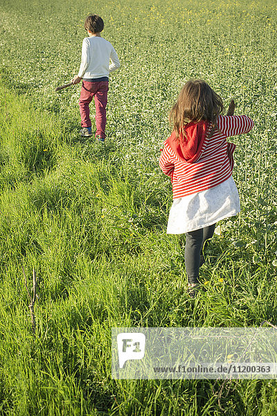 Children walking in field  rear view
