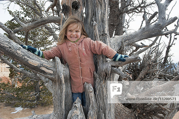 Mädchen klettert im toten Baumstamm  Portrait
