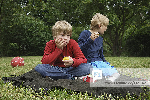 Brothers sitting on blanket in park