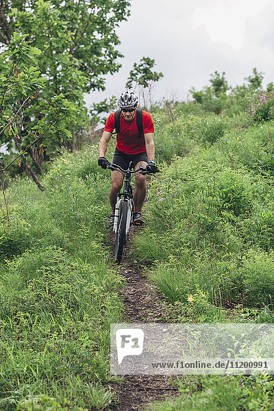 Mountain biker riding on pathway amidst grass on hill