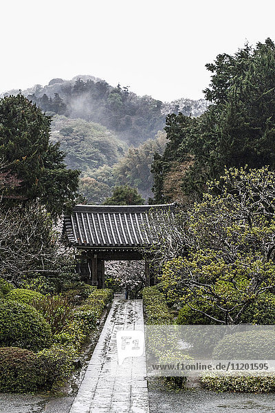 Blick auf den Weg zum Pavillon inmitten von Bäumen bei Meigetsu-in  Kamakura  Kanagawa  Japan